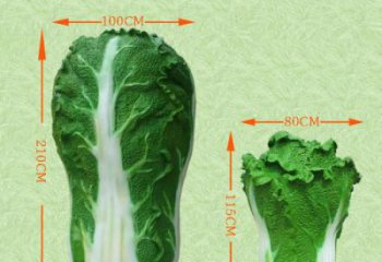 白菜雕塑廠家，仿真白菜雕塑，玻璃鋼蔬菜彩繪雕塑
