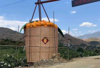 枇杷雕塑廠家，廣場水果雕塑，大型玻璃鋼枇杷雕塑廠家