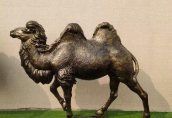 駱駝雕塑廠家，公園動物小品，玻璃鋼仿真駱駝雕塑廠
