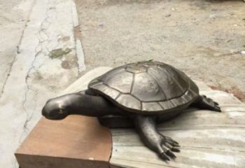 城市烏龜?shù)袼?風景區(qū)彩繪雕塑 抽象擺件