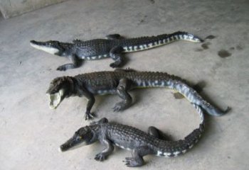 庭院鱷魚(yú)雕塑 城市古銅色雕塑 動(dòng)物小品