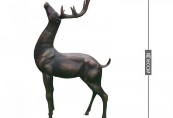 銅小鹿雕塑標(biāo)準(zhǔn)，景觀雕塑，小鹿銅雕塑提供